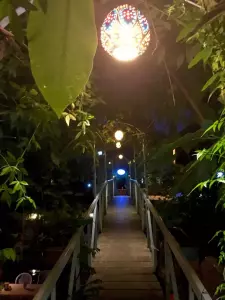 Entry-paradise-night